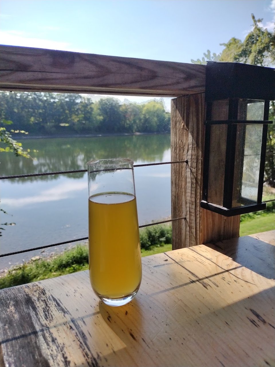 Cider