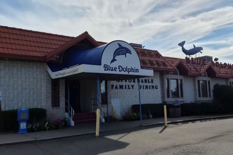 Blue Dolphin